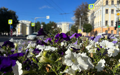В Кировскую область мощный антициклон принесет волну дневного тепла