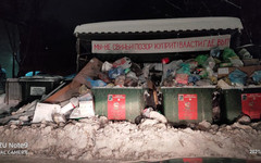 «Мы - не свиньи». Кировчане установили плакат на мусорной площадке
