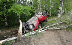 В Коминтерне легковушка врезалась в дерево и перевернулась