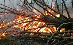 В лесу Опаринского района произошёл пожар