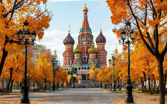 Какой праздник отмечают 19 ноября?