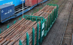 Кировская область наращивает экспорт леса в Иран