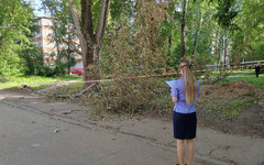 В Кирово-Чепецке осудили бывшего руководителя за гибель 4-летней девочки из-за падения ветки