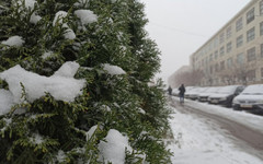 14 ноября в Кирове будет тепло и дождливо