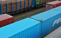 Из Кировской области в Беларусь экспортировали 44 тонны семян льна