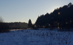 По требованию прокуратуры в Кировской области ликвидировали свалку на особо охраняемой природной территории