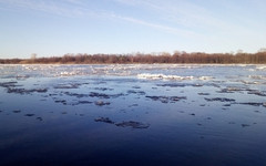 Уровень воды в Вятке за сутки вырос на полметра