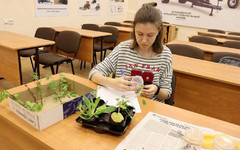 В 20 школах Кировской области откроются агроклассы
