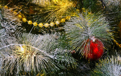 В России набирают популярность «половинки» искусственных елок