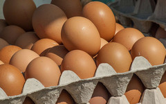 Кировские антимонопольщики проверяют информацию от производителей о ценах на яйца