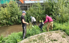 В Метрограде убрали стихийную свалку