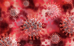 Какие штаммы коронавируса есть и чем они отличаются?
