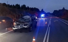 В Юрьянском районе водитель сбил лося