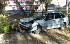 В Коминтерне ночной гонщик снёс дерево