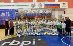 Кировские спортсмены выиграли чемпионат и первенство ПФО по карате