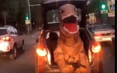 В Кирове динозавр прокатился в багажнике машины