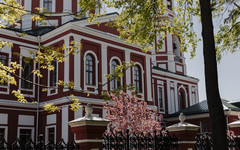 Календарь событий: главные праздники в России на неделе 21-27 июля