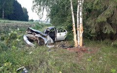 В пригороде Кирова автомобиль съехал в кювет и врезался в дерево. Пострадали четыре человека