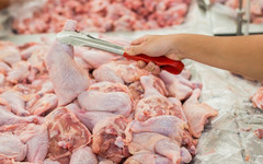 Антимонопольщики проверят обоснованность высоких цен на птичье мясо
