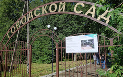 В 2025 году в области благоустроят 11 парков