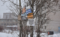 Бизнесмена из Слободского наказали за рекламу пива
