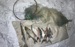За год в Кировской области на рыбаков завели 36 уголовных дел