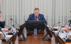 В Заксобрании Кировской области поддержали проект закона о Дне многодетной семьи