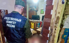 В Кирово-Чепецке мужчина зарезал знакомую во время пьяной ссоры