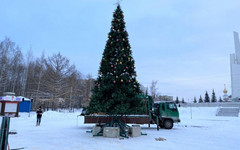В парке Победы установили новогоднюю ель