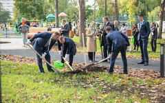 В Кирове появилась Аллея дружбы городов