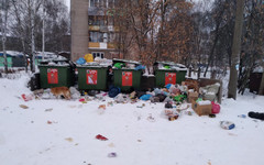 Кировчане пожаловались на переполненные мусором контейнеры