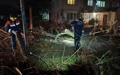 Почти 500 тысяч человек в Крыму остались без света из-за шторма