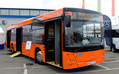 Новые автобусы в Кирове будут оранжевыми