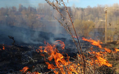 В Малмыжском районе произошёл первый в этом году поджог сухой травы
