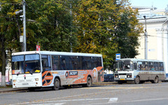 В Покровскую субботу до трёх кировских кладбищ пустят дополнительные автобусы