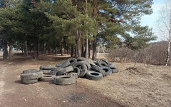 В Кирове ищут человека, организовавшего свалку шин в Заречном парке