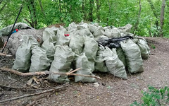 В Малмыже ликвидировали свалку вдоль реки Засора