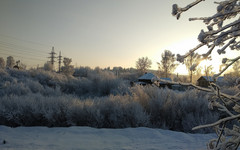 Экологи призвали не трогать ежей во время зимней спячки