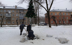 В Кирове демонтируют новогодние ели