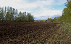 В Кировской области завершили посевную кампанию