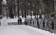 Госдума России обнародовала полный список льгот для предпенсионеров