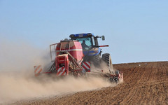 Кировские аграрии сделали ставку на кукурузу для кормов