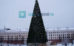 Новогоднюю ёлку на Театральной площади начали украшать