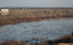 На озере Широковском росгвардейцы поймали браконьера