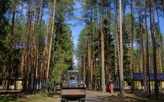 Специалисты: все родители Кировской области могут оплатить детский отдых ребенка