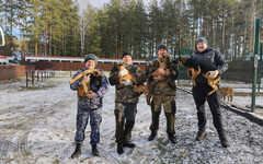 В Кировскую область привезут 10 щенков из свердловского ГУФСИН