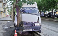 В Кирове на улице Сутырина «Газель» врезалась в дерево. Пострадавших нет