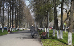В МЧС Кировской области предупредили о заморозках