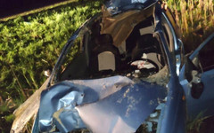 В Котельничском районе водитель попал в госпиталь из-за ДТП с лосем