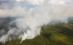 В выходные в Кировской области могут начаться природные пожары
